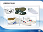 PowerPoint Layout